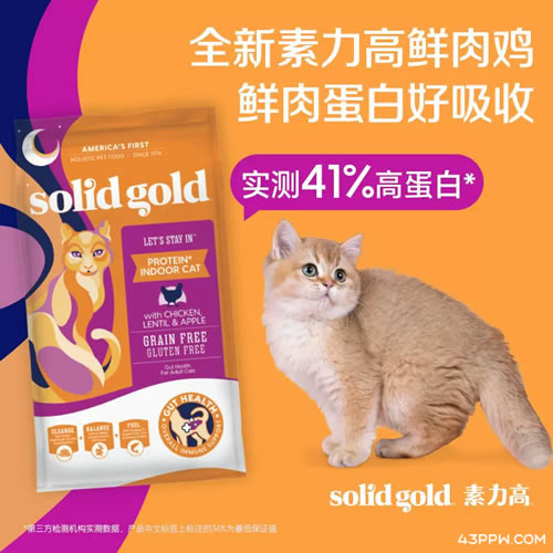SolidGold (素力高)品牌形象展示