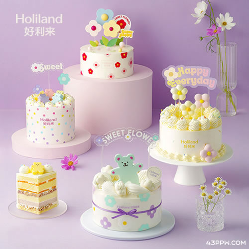 Holiland 好利来蛋糕品牌形象展示