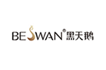 BE SWAN 黑天鹅内衣