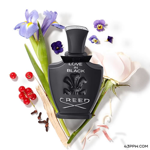 CREED (恺芮得)品牌形象展示